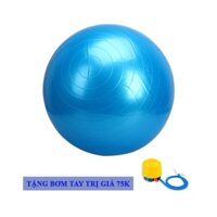 Bóng Tập Yoga Da Trơn Cao Su Cao Cấp Đường Kính 65cm Dày 6mm Đại Nam Sport + Tặng Kèm Bơm Bóng