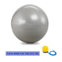 Bóng Tập Yoga Da Trơn Cao Su Cao Cấp Đường Kính 75cm Dày 6mm Đại Nam Sport + Tặng Kèm Bơm Bóng