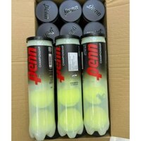Bóng Tennis Penn 1hộp 4 quả