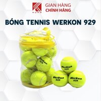 Bóng Tennis Werkon 929, Bộ 12 Qủa Bóng Tennis Tập Luyện Cao Cấp