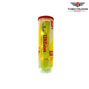 Bóng tennis Wilson Championship hộp 4 quả