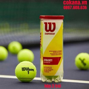 Bóng tennis Wilson Championship WRT110000 (hộp 4 Quả)