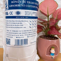 Bông y tế An Lành gói 1kg