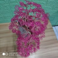 bonsai dây đồng handmade tùng đỏ dáng thác đổ