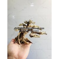 BONSAI GỖ LŨA DÙNG CHO HỒ 20CM-40CM | THIẾT KẾ CỔ THỤ CHO HỒ CÁ THUỶ SINH
