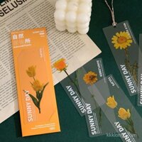 Bookmark PET Dòng Thực Vật Tự Nhiên Hoa Khô Hoa Cúc Bạch Đàn Hoa Hồng Nghệ Thuật Mờ Đơn Giản Trong Suốt Kẹp Sách Học Sinh Tạo Tác Vật Liệu Học Tập Bộ Bookmark DIY