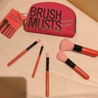 Bóp cọ makeup sivanna