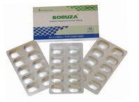 Boruza Tenofovir 300mg Mebiphar (H/30v)