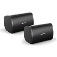 Bose DesignMax DM5SE