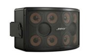 BOSE Panaray 802 Series V