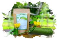 BỘT BÍ ĐAO NGUYÊN CHẤT (100gr)