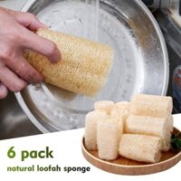 Bọt biển Loofah tự nhiên, Dụng cụ vệ sinh nhà bếp, Thịt lười cũ được sử dụng để chải chậu, giặt D9s3
