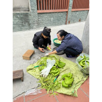 BỘT CHUỐI XANH NGUYÊN CHẤT