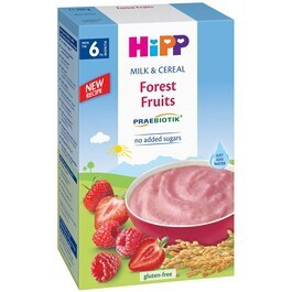 Bột dinh dưỡng sữa Hoa quả rừng HiPP - 250g