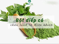 Bột diếp cá – Chữa lành từ thiên nhiên