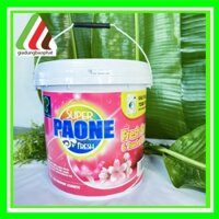 BỘT GIẶT 9 kg PAONE - CÔNG NGHỆ SIÊU SẠCH