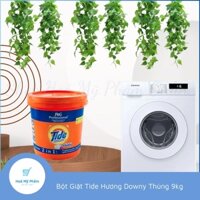 Bột giặt tide 9kg ( Hoả Tốc HCM )