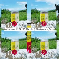 Bột gừng sấy lạnh The Moshav Farm Hộp 40gr