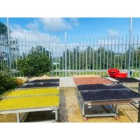 bột ngũ cốc Lợi Sữa, Tăng Cân, Giảm Cân, hơn 20 loại hạt maca, hạt óc chó, hạnh nhân,...