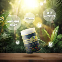 Bột Ngũ Cốc Rau Củ Bổ Sung Protein Thực Vật Thuần Chay (500g)
