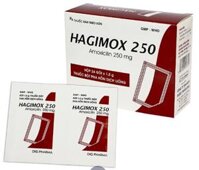 Bột pha hỗn dịch uống Hagimox 250mg (Amoxicilin) điều trị nhiễm khuẩn (24 gói x 1.5g)