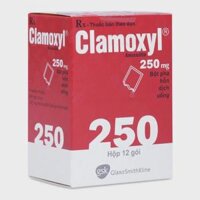 Bột pha uống Clamoxyl 250mg điều trị nhiễm khuẩn (hộp 12 gói)