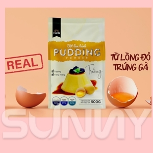 Bột Pudding Dans 500g