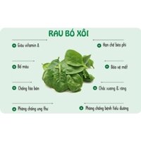 BỘT RAU BÓ XÔI( BINA) SẤY THĂNG HOA GOGANIC