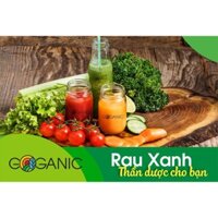 BỘT RAU CỦ DETOX GIẢM CÂN