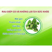 Bột Rau Diếp Cá