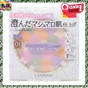 Bột tằm rửa mặt và tẩy trang - Powder  Facial Cleanser