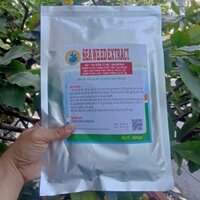 BỘT TẢO BIỂN 500GR TẠO MÙI SINH CẢNH HIỆU QUẢ CHO NHÀ YẾN