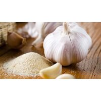 BỘT TỎI - BỘT THỰC PHẨM-PHỤ GIA THỰC PHẨM