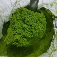 Bột trà xanh Thái Nguyên nguyên chất 💯 đóng túi 1kg