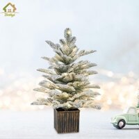 Bothyi Mini Cây Giáng Sinh Trang Trí Phòng Khách Trang Trí Để Bàn Cây Giáng Sinh