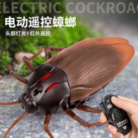 [Boutique] Đồ chơi gián điều khiển từ xa Xiaoqiang Mô phỏng giun điện Côn trùng giả Quà tặng sáng tạo Tricky