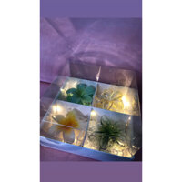 Box kẹp hoa sứ xinh lung linh
