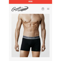 Boxer ship đùi nam 100k chỉ chọn trên livetream