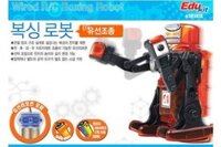 BOXING ROBOT