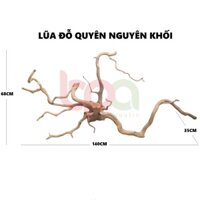 BP10 - BỘ LŨA GỖ ĐỖ QUYÊN NGUYÊN KHỐI HÀNG TUYỂN ĐÃ XỬ LÝ