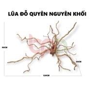 BP13 - BỘ LŨA GỖ ĐỖ QUYÊN NGUYÊN KHỐI HÀNG TUYỂN ĐÃ XỬ LÝ