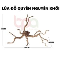 BP15 - BỘ LŨA GỖ ĐỖ QUYÊN NGUYÊN KHỐI HÀNG TUYỂN ĐÃ XỬ LÝ