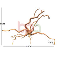 BP6 - BỘ LŨA GỖ ĐỖ QUYÊN NGUYÊN KHỐI HÀNG TUYỂN ĐÃ XỬ LÝ