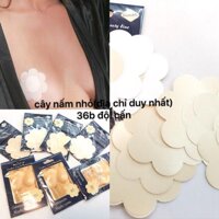 bra dán ngực bằng giấy10miếng