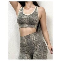 BRA TẬP GYM, YOGA NỮ - BRA DỆT DA CHĂN CAO CẤP ( HÀNG NHẬP)