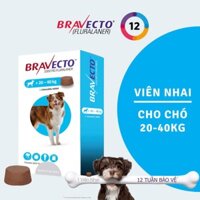 Bravecto Hộp 1 viên nhai vị thịt bò cho chó 20-40kg phòng & diệt trị ve, rận, bọ chét, ghẻ, xà mâu