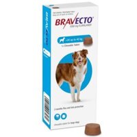 Bravecto viên nhai trị ve, rận trên chó 20-40kg