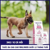 [BRIT VỊ CÁ HỒI 3KG] Thức Ăn Cho Chó Malinois 1-3 Tháng