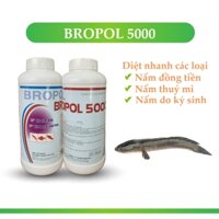 Bronpol 5000 1lít diệt ghẻ cho cá vàng, trùng mỏ neo cho cá, nấm đồng tiền ao cá nấm thủy mi