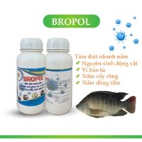 Bronpol 500ml diệt trùng mỏ neo, ký sinh trùng trên cá chép koi, chép nhật,cá cảnh, cá rồng cá cảnh